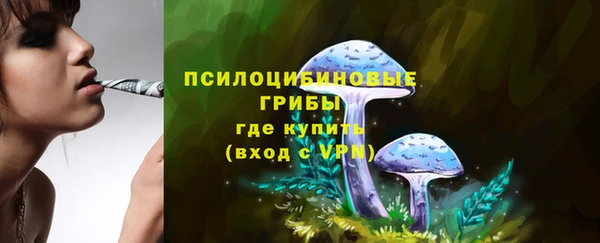 мескалин Богданович