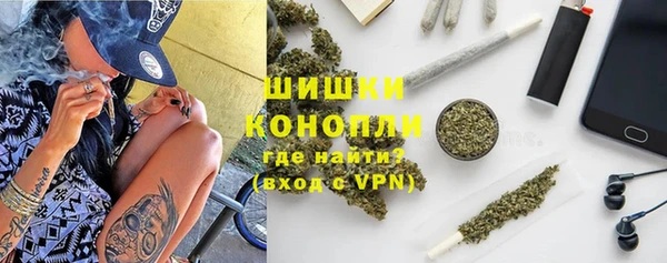 прущие грибы Богородск