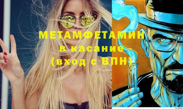 прущие грибы Богородск