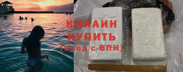 прущие грибы Богородск